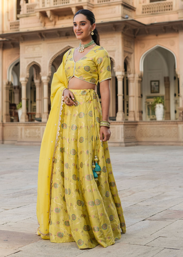 Prashi Lime green Silk Jacquard Printed Lehenga set