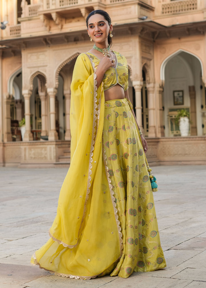 Prashi Lime green Silk Jacquard Printed Lehenga set