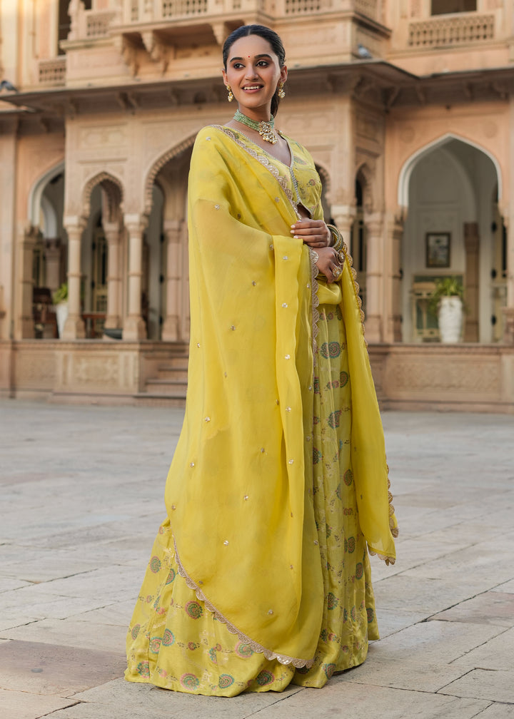 Prashi Lime green Silk Jacquard Printed Lehenga set