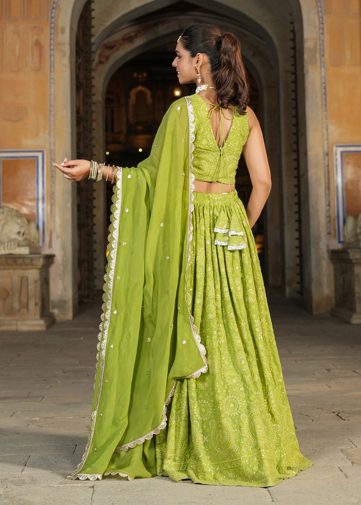 Bani Green Lucknowi Embroidered Lehenga set